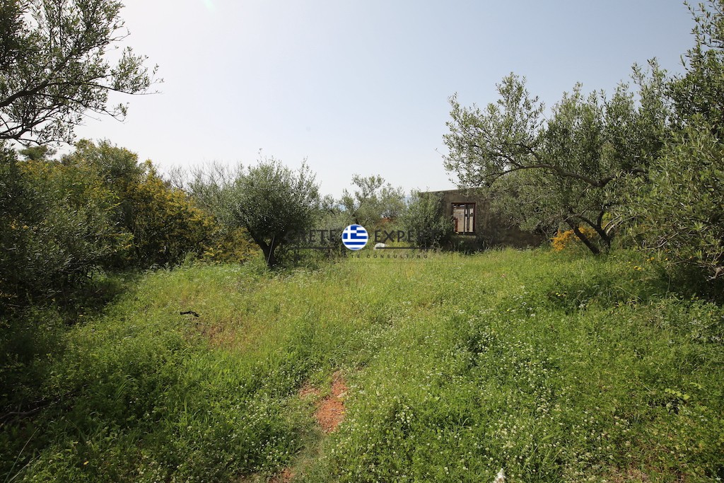 Οικόπεδο 4.600 τ.μ. προς πώληση, Βρύσες Κρυονερίδας