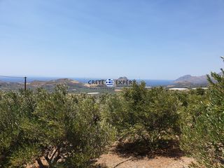 Οικόπεδο 3.436,64 τ.μ. για πώληση, Ν. Ρεθύμνου, Φοινίκας-thumb-14