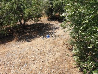 Οικόπεδο 3.436,64 τ.μ. για πώληση, Ν. Ρεθύμνου, Φοινίκας-thumb-10