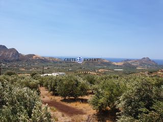 Οικόπεδο 3.436,64 τ.μ. για πώληση, Ν. Ρεθύμνου, Φοινίκας-thumb-17