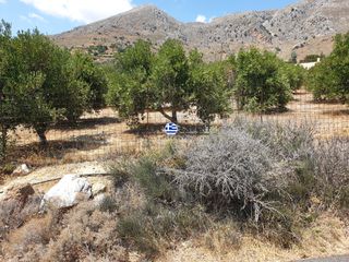 Οικόπεδο 3.436,64 τ.μ. για πώληση, Ν. Ρεθύμνου, Φοινίκας-thumb-19