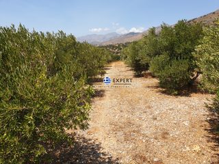 Οικόπεδο 3.436,64 τ.μ. για πώληση, Ν. Ρεθύμνου, Φοινίκας-thumb-13