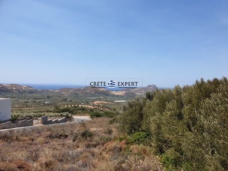 Οικόπεδο 3.436,64 τ.μ. για πώληση