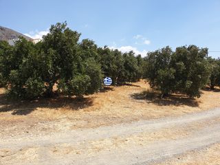 Οικόπεδο 3.436,64 τ.μ. για πώληση, Ν. Ρεθύμνου, Φοινίκας-thumb-1
