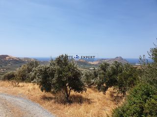 Οικόπεδο 3.436,64 τ.μ. για πώληση, Ν. Ρεθύμνου, Φοινίκας-thumb-25