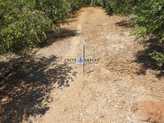 Οικόπεδο 3.436,64 τ.μ. για πώληση, Ν. Ρεθύμνου, Φοινίκας-thumb-9