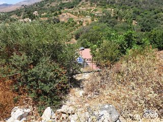 Οικόπεδο 3.436,64 τ.μ. για πώληση, Ν. Ρεθύμνου, Φοινίκας-thumb-7