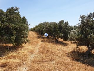 Οικόπεδο 3.436,64 τ.μ. για πώληση, Ν. Ρεθύμνου, Φοινίκας-thumb-3