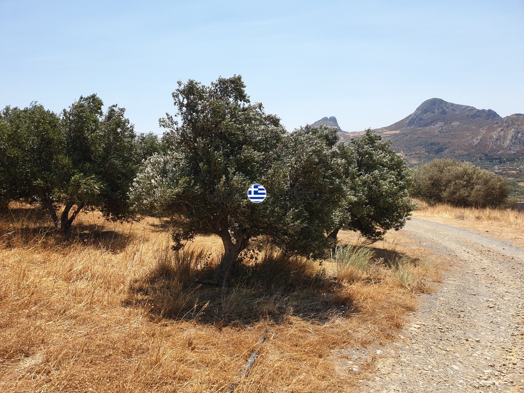 Οικόπεδο 3.436,64 τ.μ. πρός πώληση, Ν. Ρεθύμνου, Φοινίκας