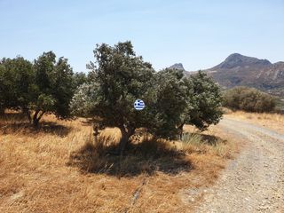 Οικόπεδο 3.436,64 τ.μ. για πώληση, Ν. Ρεθύμνου, Φοινίκας-thumb-4