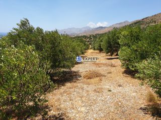 Οικόπεδο 3.436,64 τ.μ. για πώληση, Ν. Ρεθύμνου, Φοινίκας-thumb-15