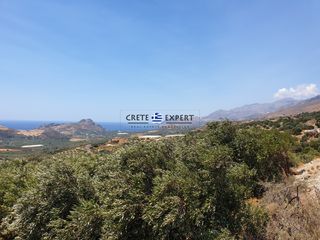 Οικόπεδο 3.436,64 τ.μ. για πώληση, Ν. Ρεθύμνου, Φοινίκας-thumb-16