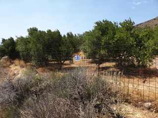 Οικόπεδο 3.436,64 τ.μ. για πώληση, Ν. Ρεθύμνου, Φοινίκας-thumb-22