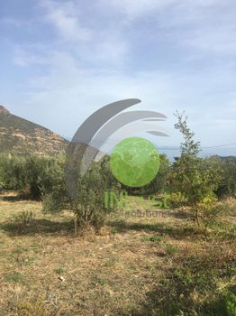 Οικόπεδο 920,3τ.μ. για πώληση-Διακοπτό