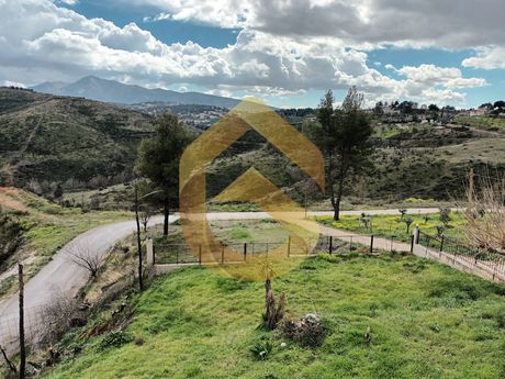 Μονοκατοικία 200τ.μ. για πώληση-Κ. καπανδριτίου