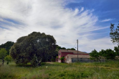 Αγροτεμάχια 280.000 τ.μ. για πώληση