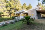 Detached home 250sqm for sale-Dionisos