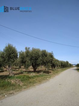 Αγροτεμάχια 8.000τ.μ. για πώληση-Καμένα βούρλα