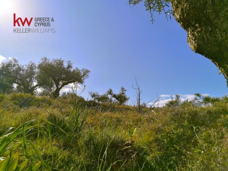 Land plot 683sqm for sale-Lefktros