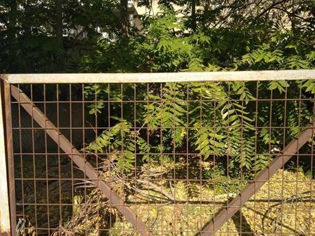 Οικόπεδο 600τ.μ. για πώληση-Λεωφ. πατησίων - λεωφ. αχαρνών