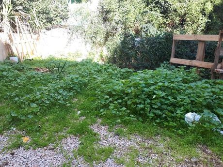 Οικόπεδο 100τ.μ. για πώληση-Λεωφ. πατησίων - λεωφ. αχαρνών