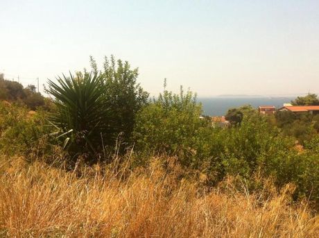Οικόπεδο 5.660 τ.μ. για πώληση