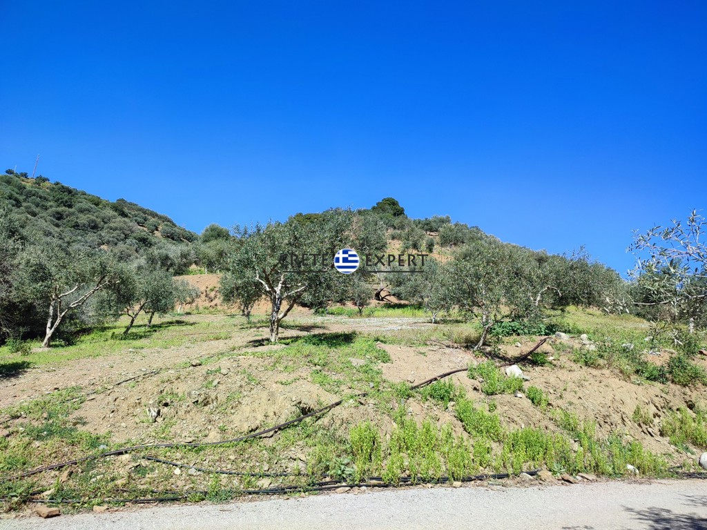 Οικόπεδο 4.752 τ.μ. προς πώληση, Πολυρρηνία