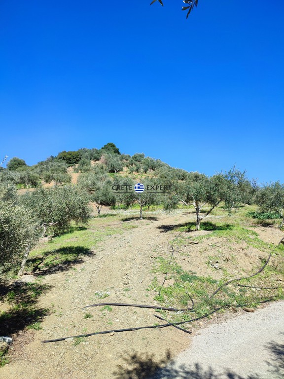 Οικόπεδο 4.752 τ.μ. προς πώληση, Πολυρρηνία