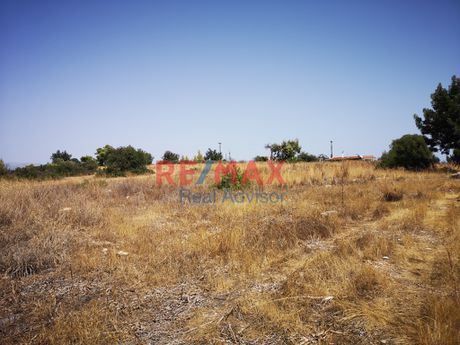 Parcel 32.000 sqm for sale