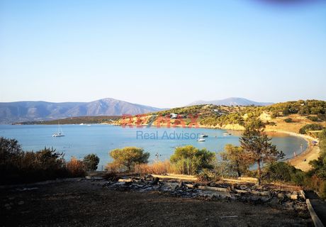 Land plot 4.000 sqm for sale