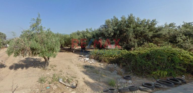 Αγροτεμάχια 5.230 τ.μ. για πώληση, Αθήνα - Δυτικά Προάστια, Αχαρνές