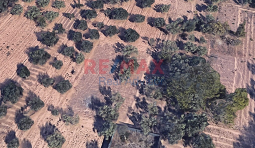 Αγροτεμάχια 5.230 τ.μ. προς πώληση, Αχαρνές