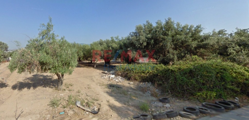 Αγροτεμάχια 5.230 τ.μ. προς πώληση, Αχαρνές