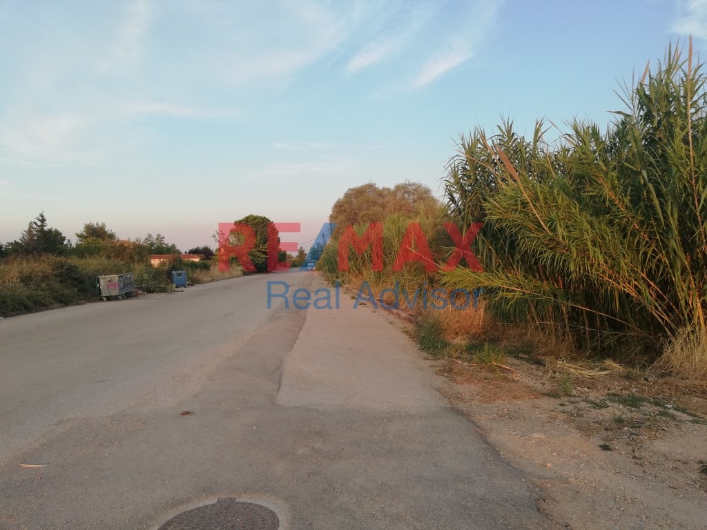 Οικόπεδο 2.794 τ.μ. πρός πώληση, Αττική - Υπόλοιπο, Κ. Σκάλας Ωρωπού