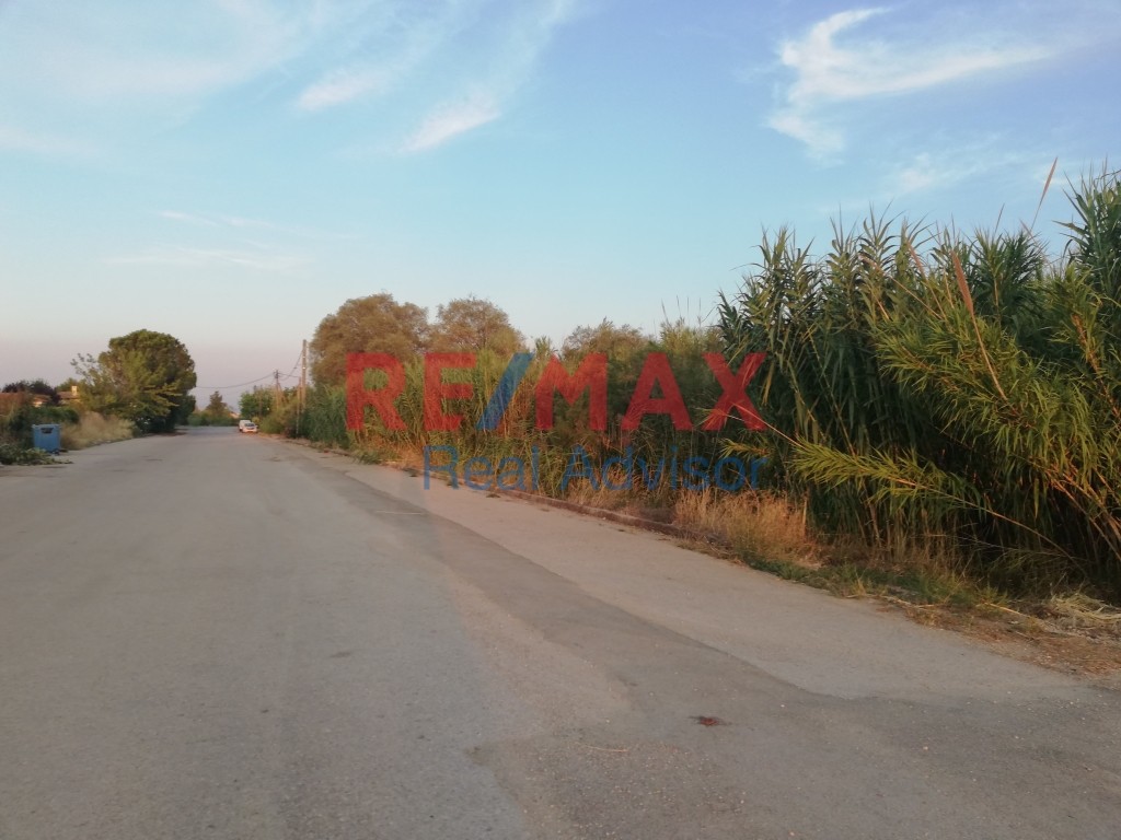 Οικόπεδο 2.794 τ.μ. πρός πώληση, Αττική - Υπόλοιπο, Κ. Σκάλας Ωρωπού