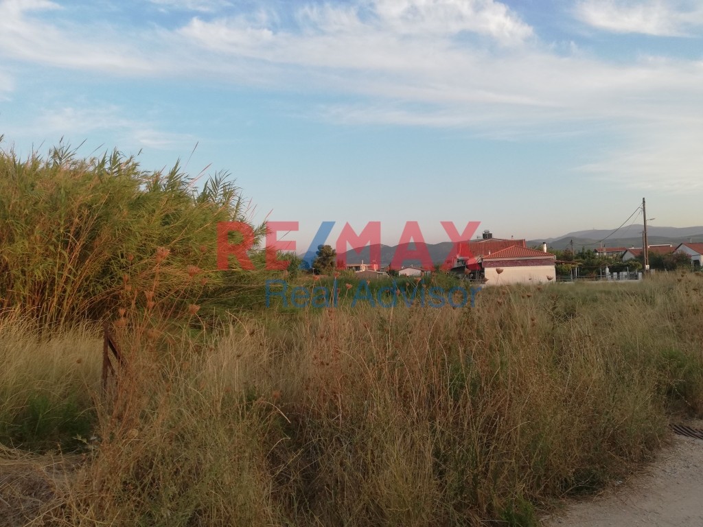 Οικόπεδο 2.794 τ.μ. πρός πώληση, Αττική - Υπόλοιπο, Κ. Σκάλας Ωρωπού