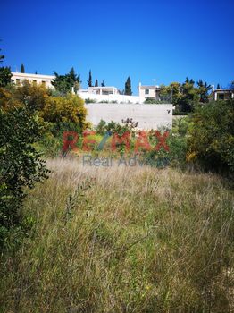 Land plot 1.000 sqm for sale