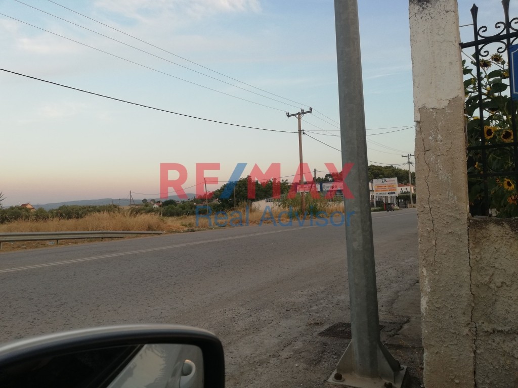 Αγροτεμάχια 1.651 τ.μ. προς πώληση, Ωρωπός