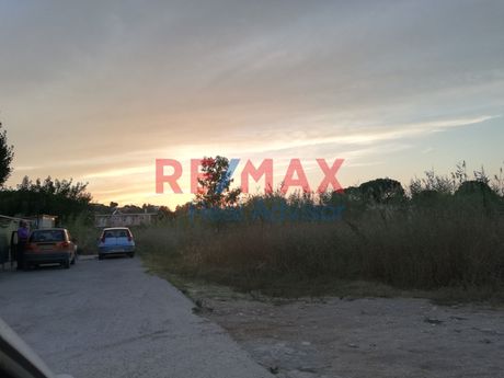 Αγροτεμάχια 1.651τ.μ. για πώληση-Ωρωπός