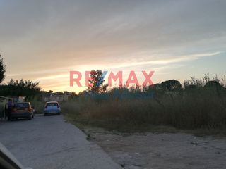 Αγροτεμάχια 1.651 τ.μ. για πώληση