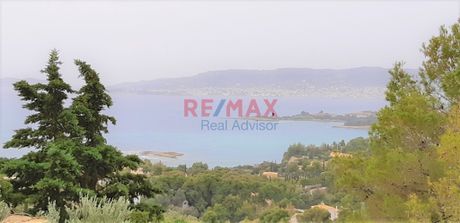 Land plot 4.000 sqm for sale