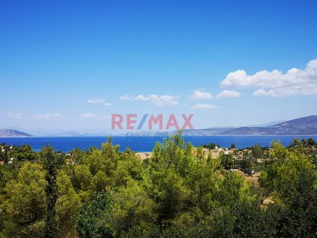 Land plot 9.000 sqm for sale