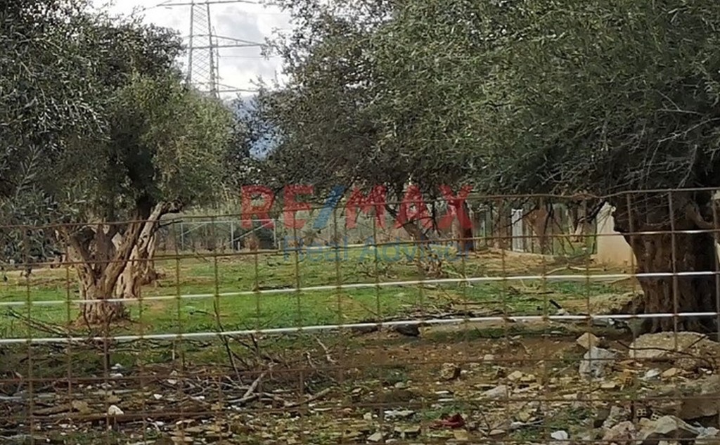 Αγροτεμάχια 7.500 τ.μ. πρός πώληση, Αθήνα - Δυτικά Προάστια, Αχαρνές