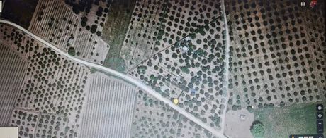 Parcel 9.000sqm for sale-Nestoras
