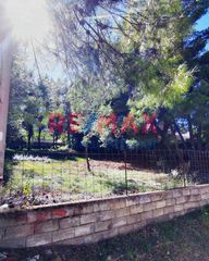 Οικόπεδο 845,66 τ.μ. προς πώληση, Διόνυσος-thumb-5