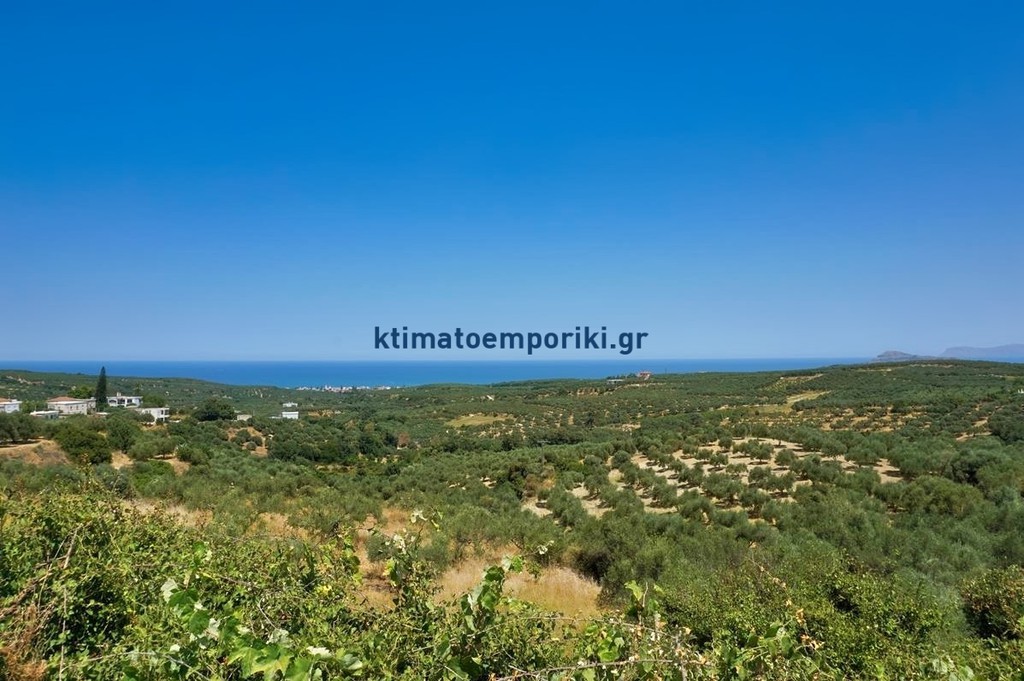 Οικόπεδο 3.382 τ.μ. προς πώληση, Πλατανιάς Χανίων