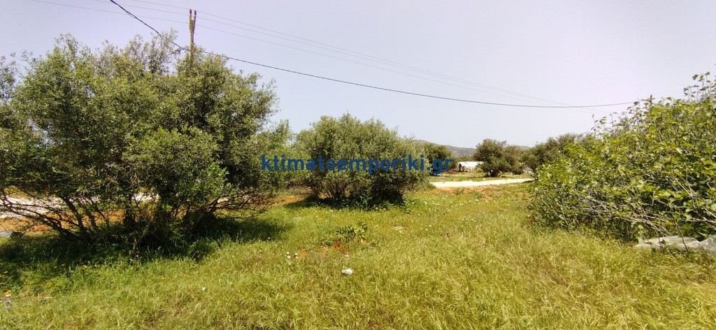 Μονοκατοικία 115 τ.μ. προς πώληση, Χωραφάκια