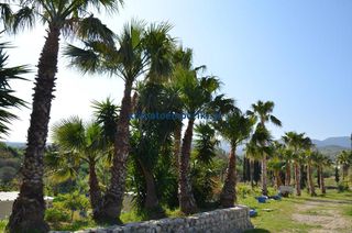 Κτίριο 400 τ.μ. για πώληση, Δωδεκάνησα, Κως-thumb-3