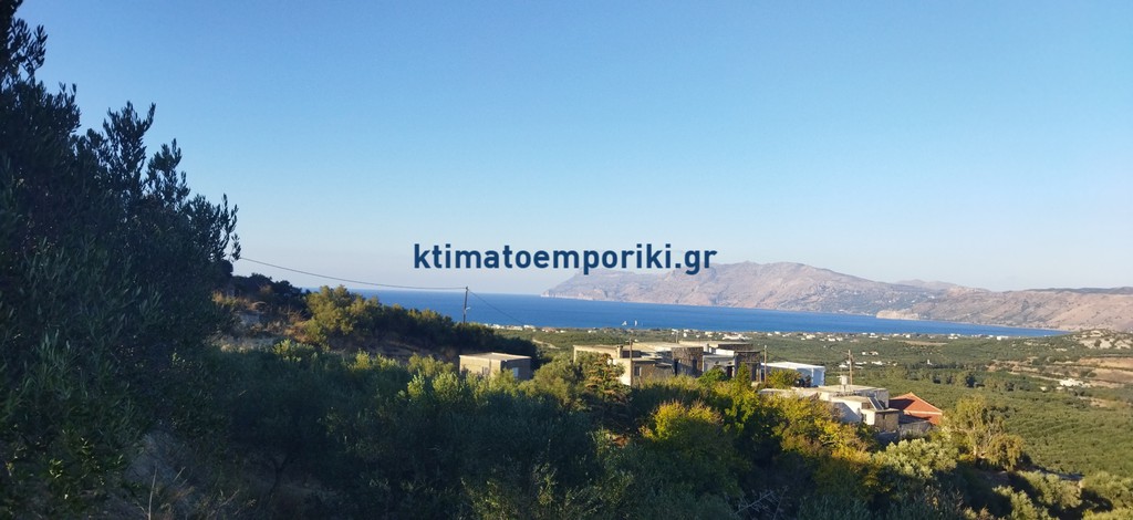 Οικόπεδο 1.619,19 τ.μ. προς πώληση, Βαρδιανά