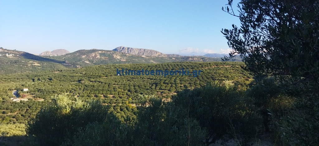 Οικόπεδο 1.619,19 τ.μ. προς πώληση, Βαρδιανά